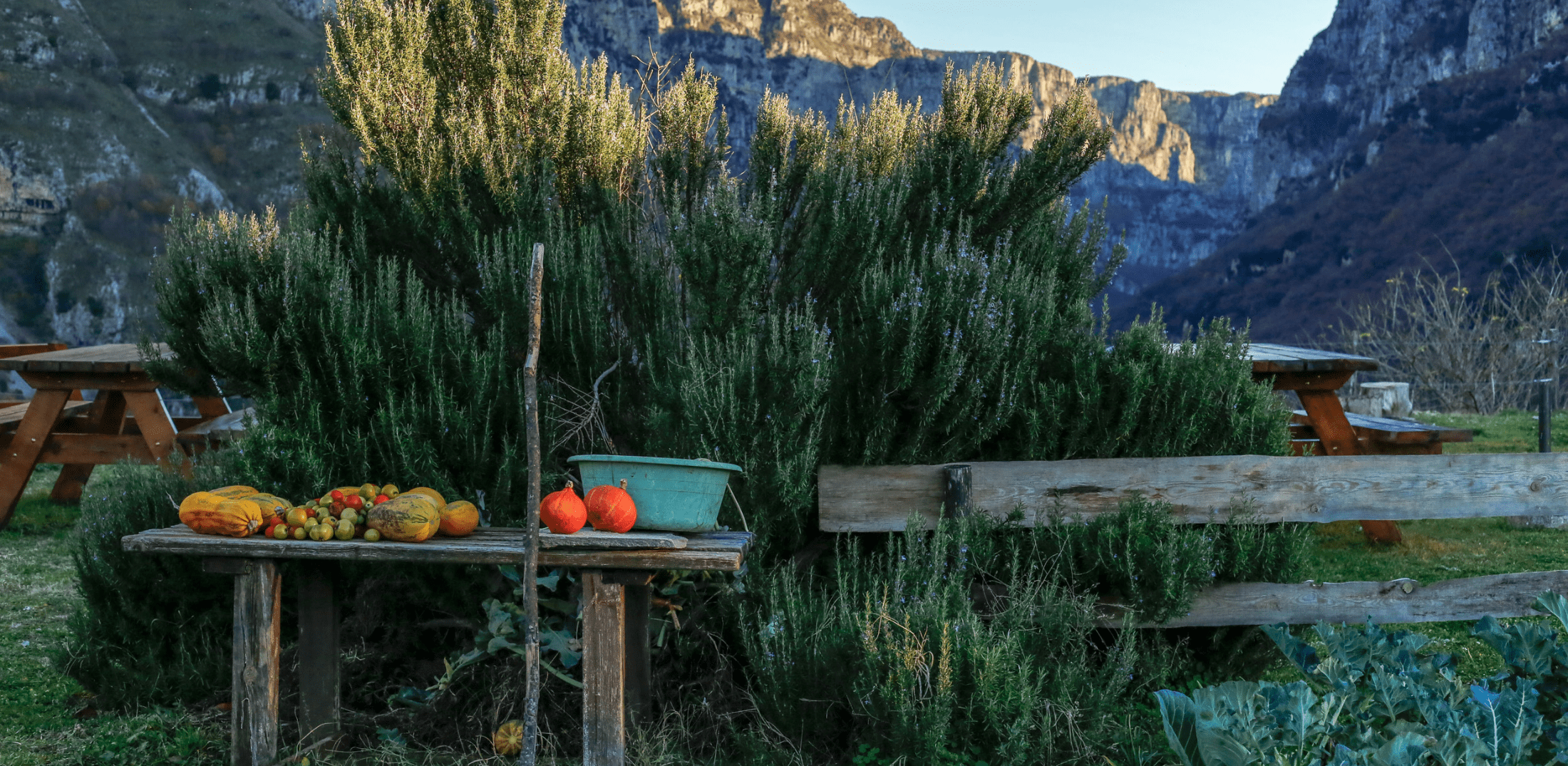 21 φωτογραφικά κάδρα από το Ζαγόρι_zvoura.gr