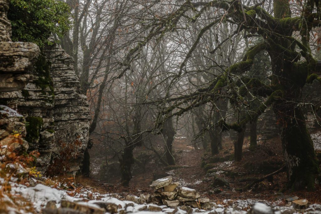 Πέτρινο δάσος στο δρόμο προς Οξυά_zvoura.gr