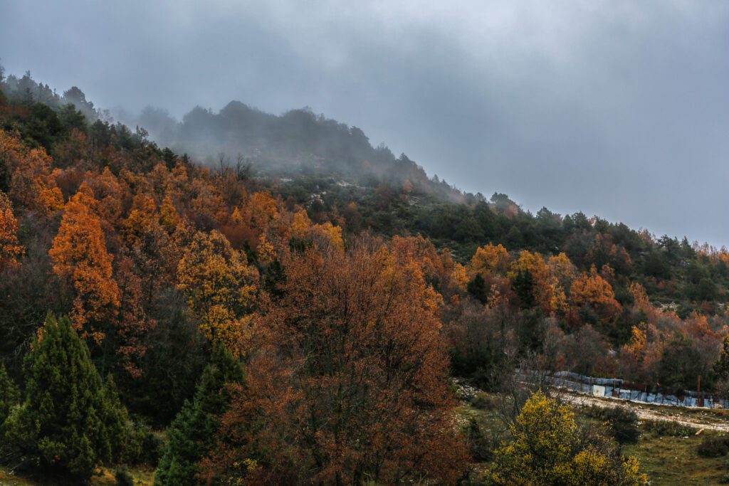 Τοπίο στο δρόμο επιστρέφοντας απο Οξυά_zvoura.gr