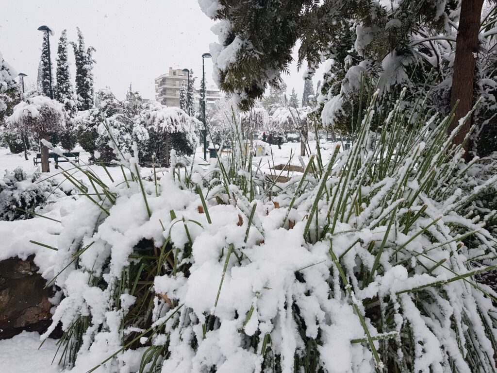 Χιόνι στην Αθήνα