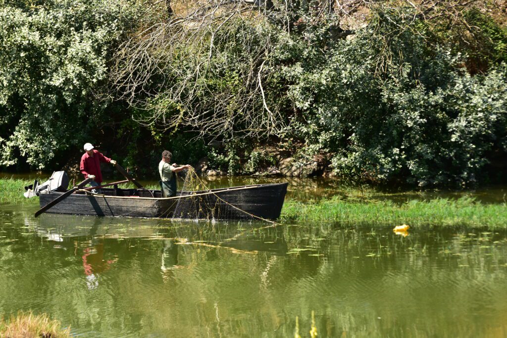 Ο βυθός της Κερκίνης είναι πλούσιος σε αλιεύματα αλλά η ερασιτεχνική αλιεία επιτρέπεται μόνον από την ακτή. Με πλωτό μόνον οι επαγγελματίες της περιοχής_zvoura.gr