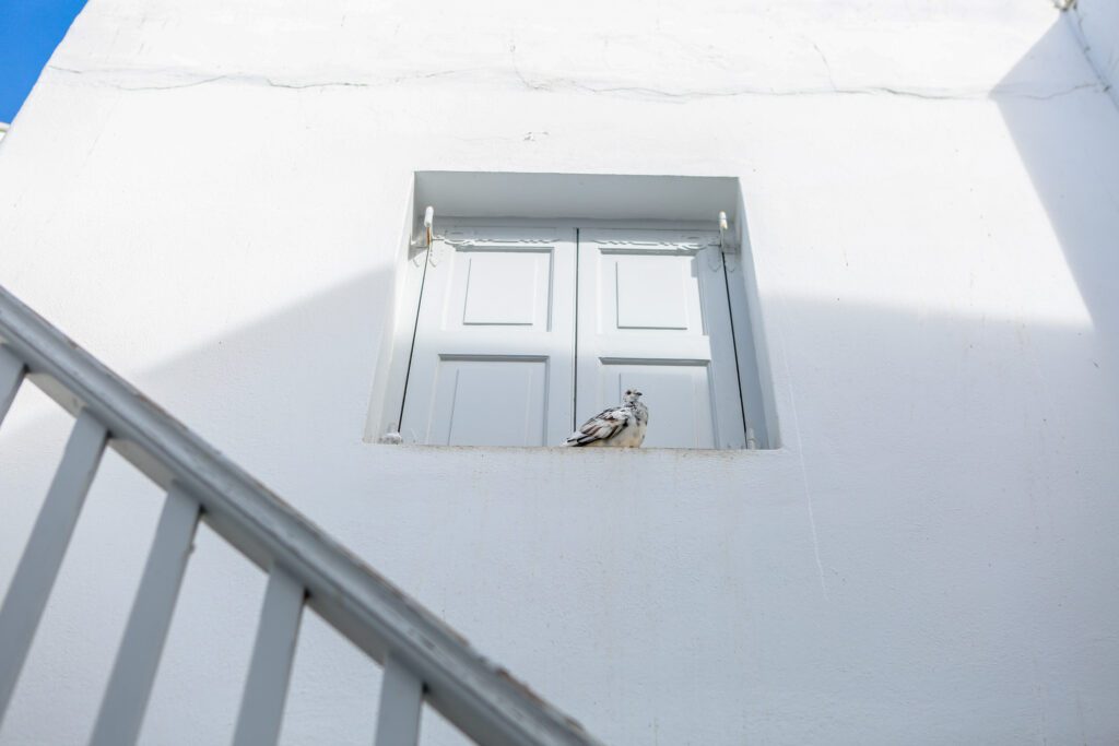 Χώρα Μυκόνου © Βασιλική Σουβατζή/ Zvoura.gr