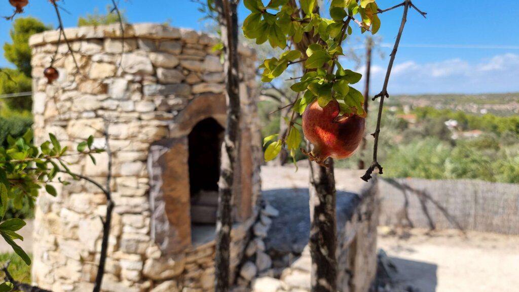 Ροδιές στο σπίτι του Ροδάκη